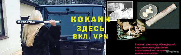 сатива Абаза