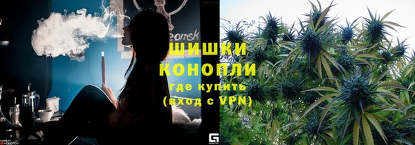 сатива Абаза