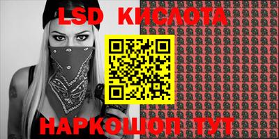 крисы Кингисепп