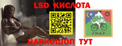 крисы Кингисепп