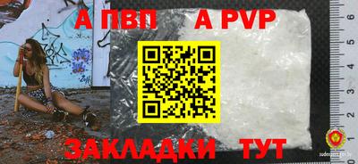бошки Кимры