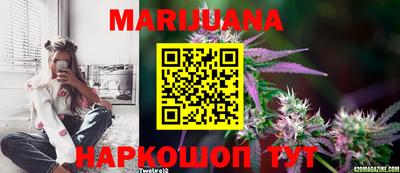 крисы Кингисепп