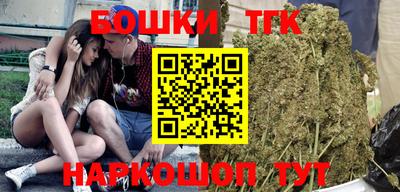 крисы Кингисепп