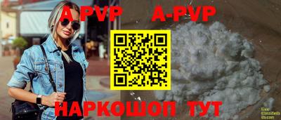 крисы Кингисепп