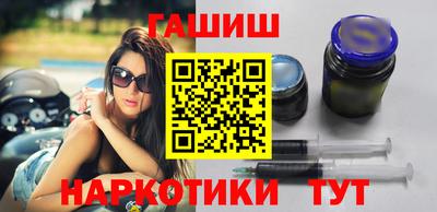 крисы Кингисепп