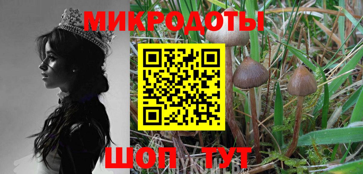 Галлюциногенные грибы GOLDEN TEACHER Клинцы